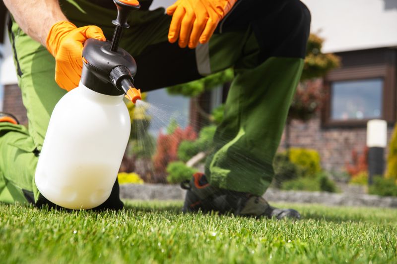 Lawn Weed Control in Rockwall, TX