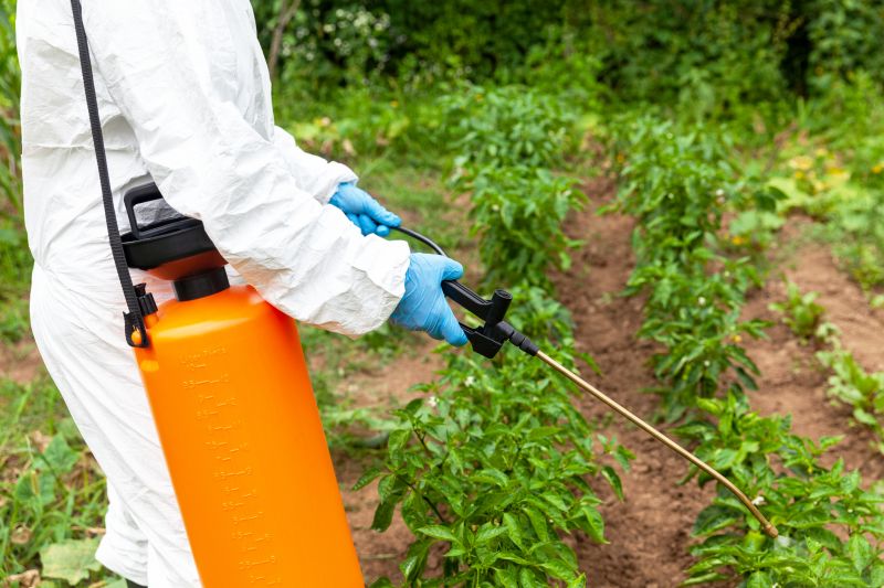 Weed Prevention Service in Honolulu, HI