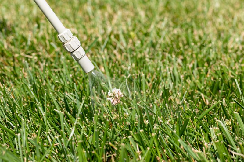 Crabgrass Removal in Rockwall, TX