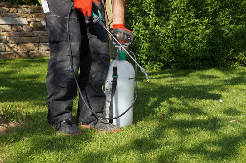 Crabgrass Removal in Aiken, SC