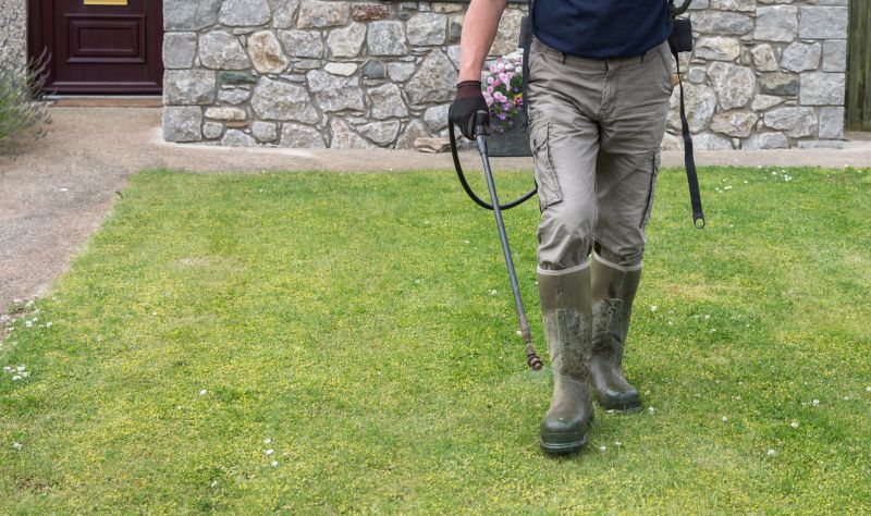 Crabgrass Removal in Honolulu, HI