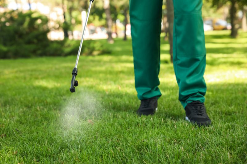 Lawn Disease Treatment in Ventura County, CA