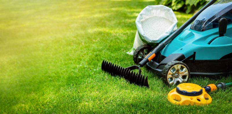 Lawn Enrichment in Ventura County, CA