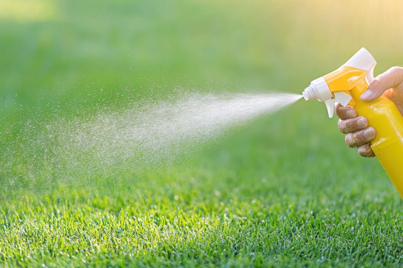 Lawn Spraying in Rockwall, TX