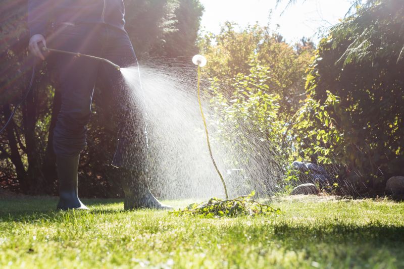 Lawn Spraying in Rockwall, TX