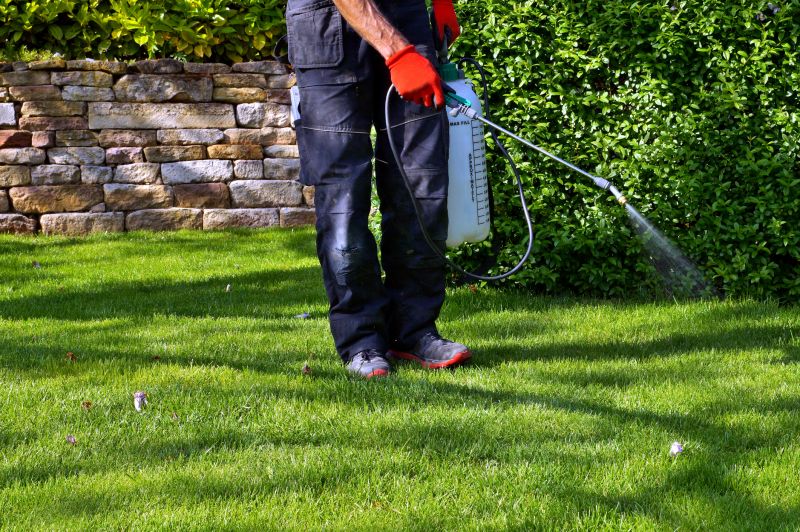 Lawn Weed Control in Ventura County, CA