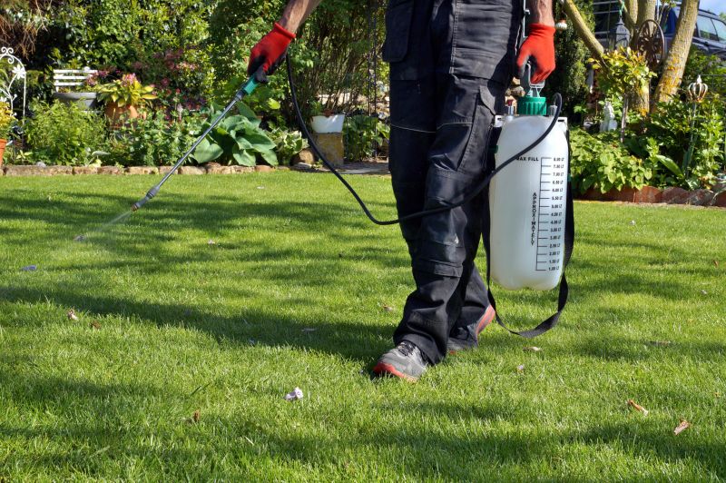 Lawn Weed Control in Rockwall, TX