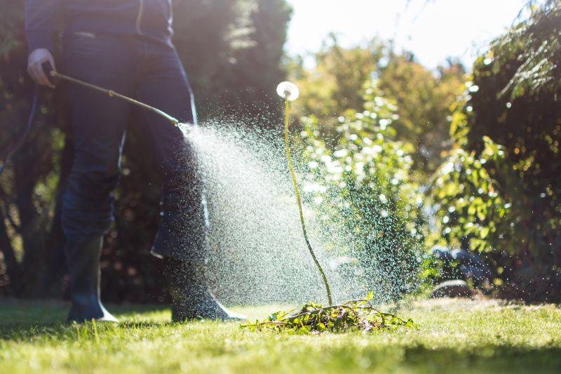 Lawn Weed Spraying in Rockwall, TX