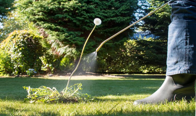 Lawn Weed Treatment in Aiken, SC