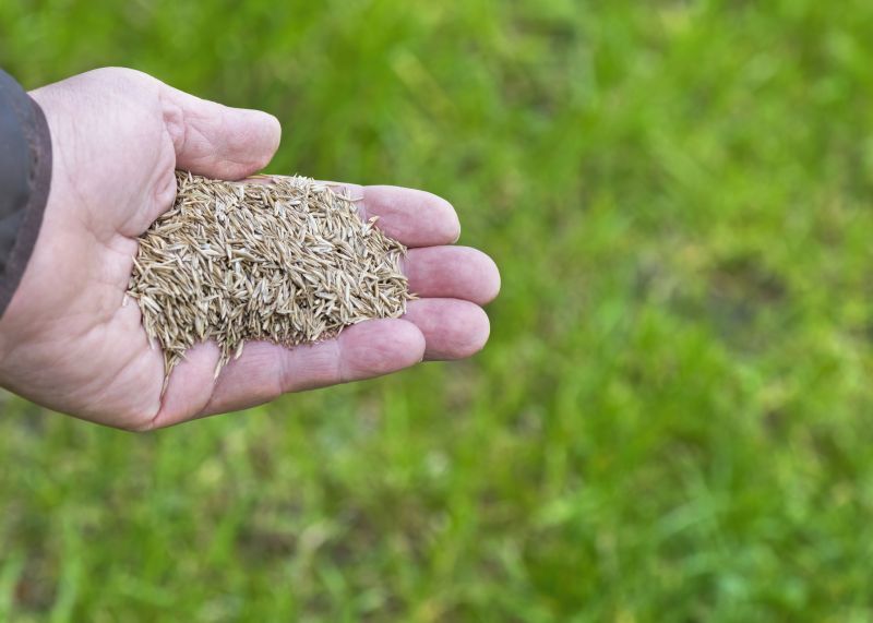 Reseeding Service in Ventura County, CA