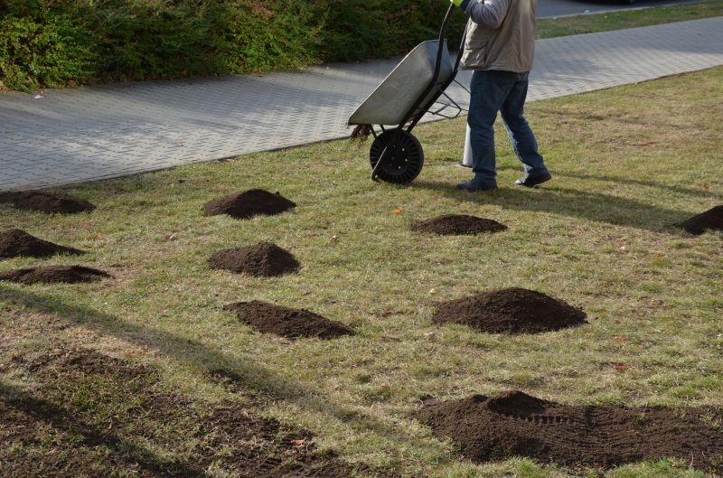 Spring Lawn Treatment in Ventura County, CA