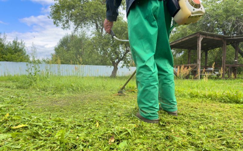 Weed Prevention Service in Honolulu, HI