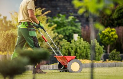 Yard Improvement Service in Honolulu, HI