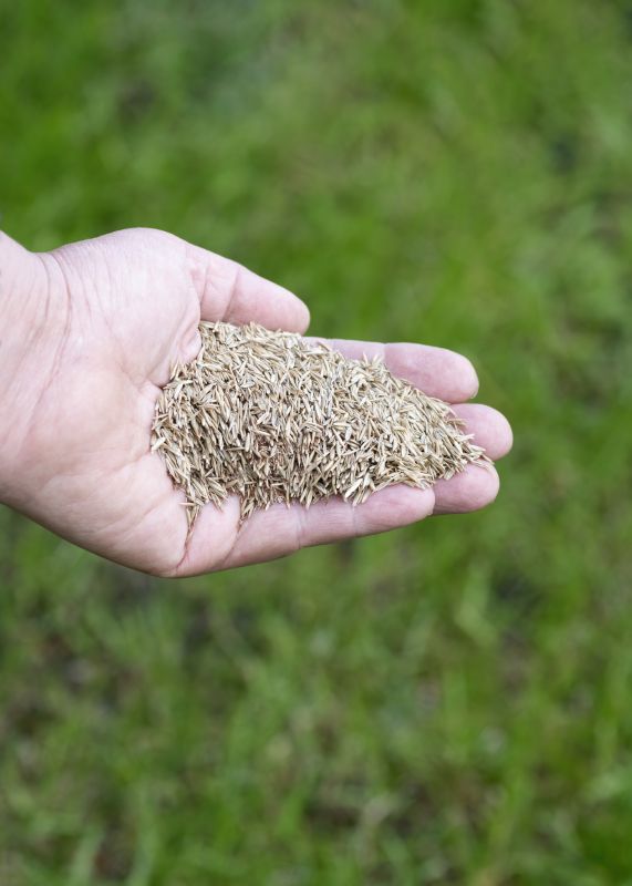 Yard Seeding in Honolulu, HI